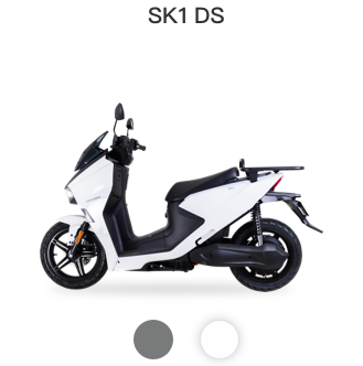 SK1DS